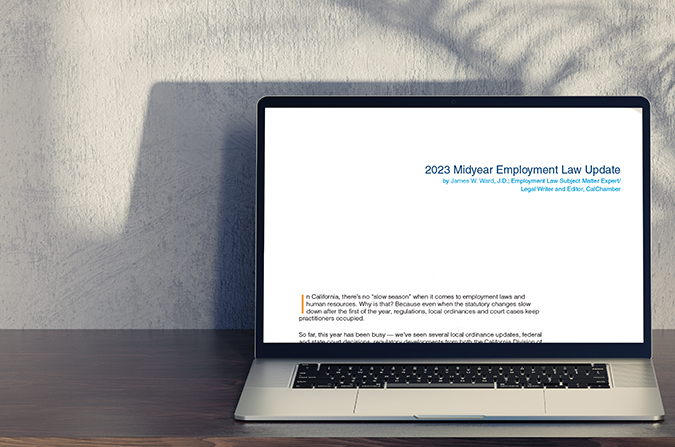 Free 2023 Midyear Employment Law White Paper