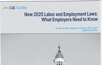 Free ‘New 2025 Labor and Employment Laws: