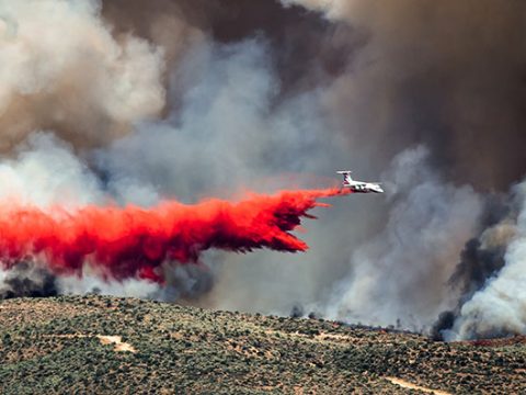 Protect Your Workers from Wildfire Smoke