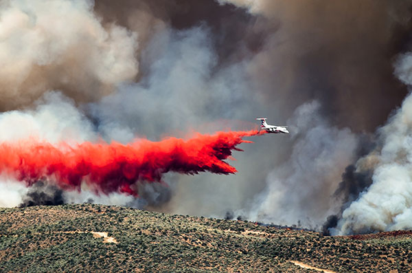 Protect Your Workers from Wildfire Smoke