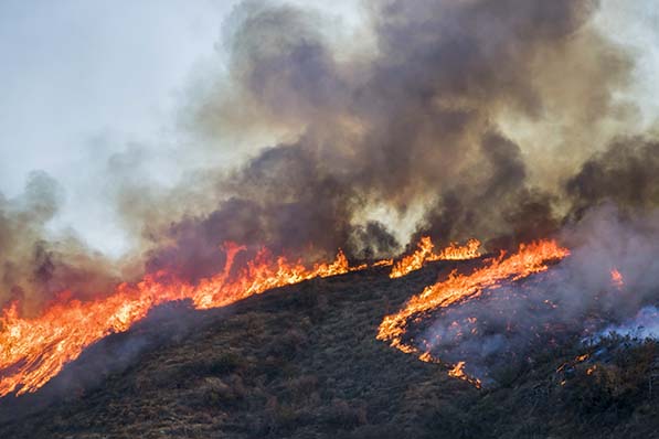 California Wildfires: Remember Employers Must Protect Outdoor Workers ...