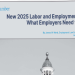 Free ‘New 2025 Labor and Employment Laws: